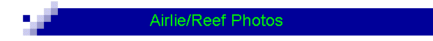 Airlie/Reef Photos