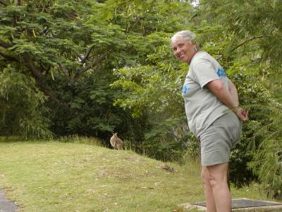 Nancy and the Wallaby