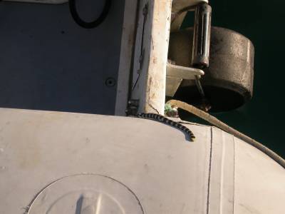A venomous sea snake tries to stow away on the dinghy