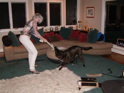 Uli and Jordan enjoy a game of tug