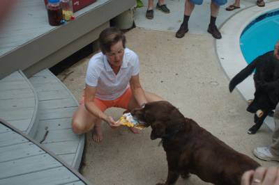 Mocha enjoys an ice cream cake just before his 13th birthday