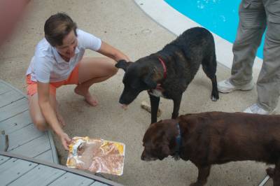 Mocha and Jordan enjoy ice cream cake at the family reunion picnic