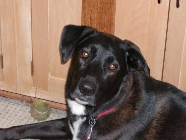 My ball's always close by in case someone wants to play!