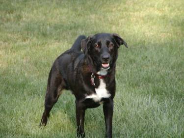 Jordan just wants to play