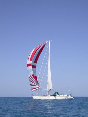 Flying the spinnaker - Great Barrier Reef 2004