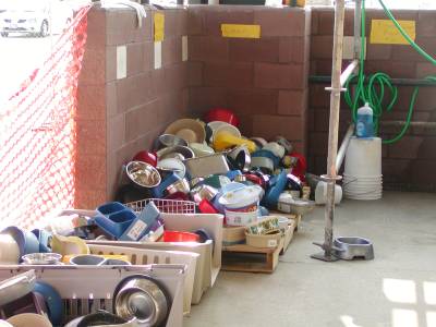 Clean bowls - every day the dogs' bowls were replaced with clean ones in an effort to maintain sanitary conditions