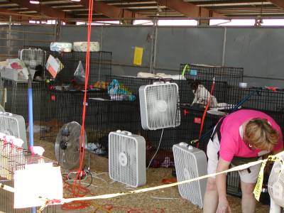 Fans were used to try to prevent overheating in the middle of the day